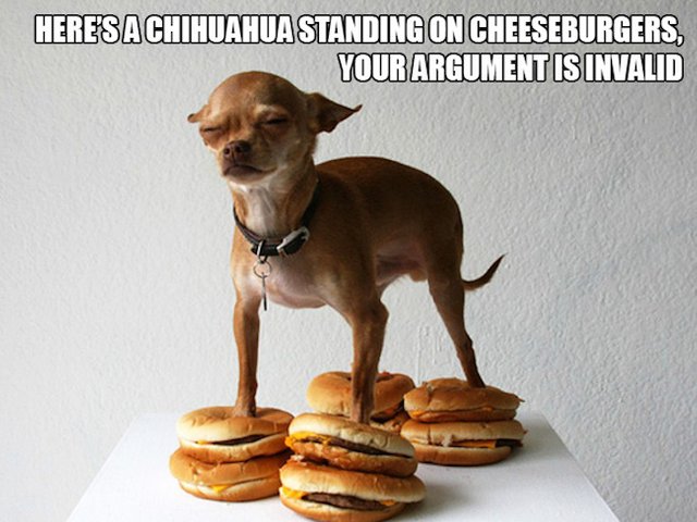 the-best-funny-pictures-of-awkwardly-standing-dogs-chihuahua.jpg