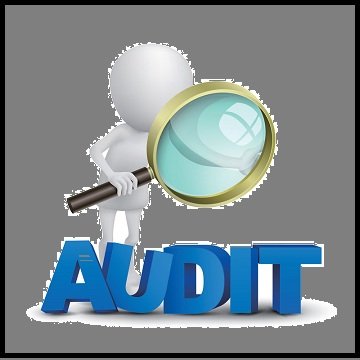 auditor.jpg