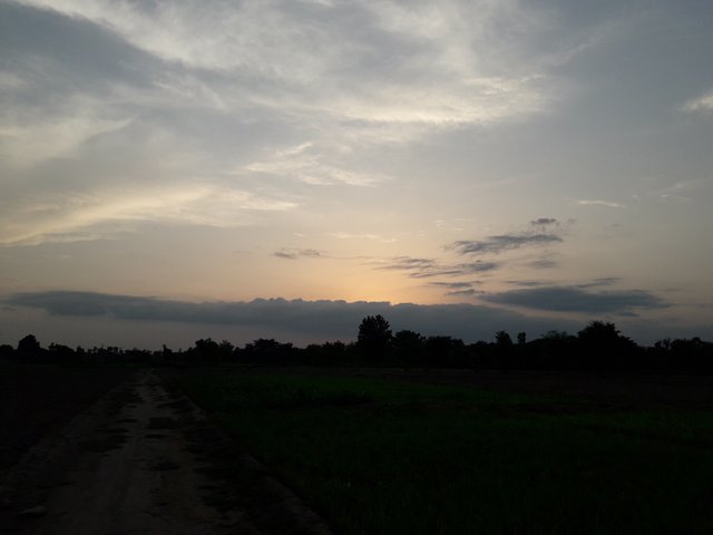 20210714_190752.jpg
