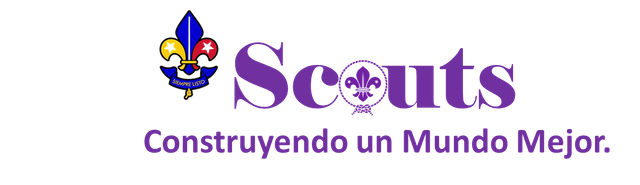 Scouts Venezuela, construyendo un mundo mejor.png