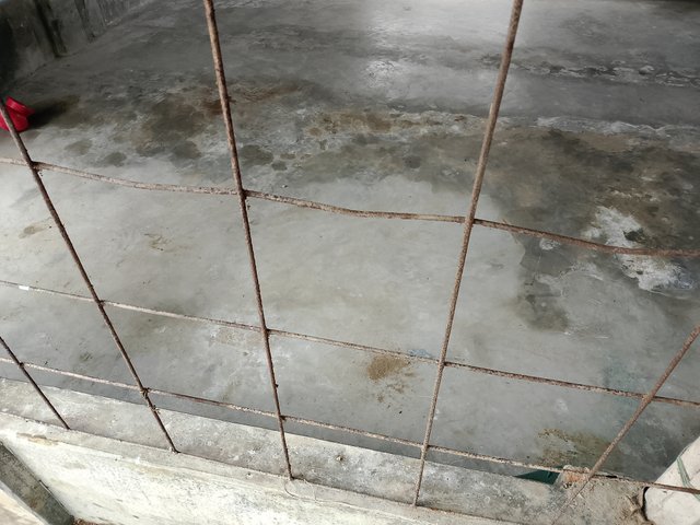 1000045974.jpg