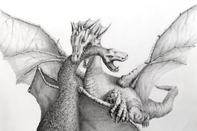 drawing-of-two-dragons.jpg