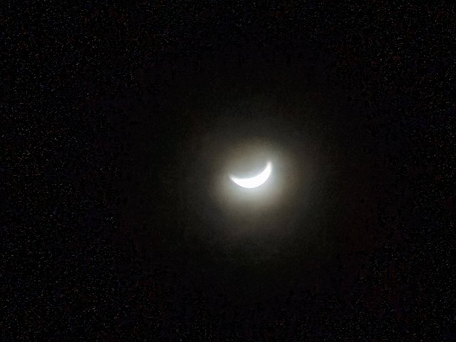 IMG_20250530_195024.jpg