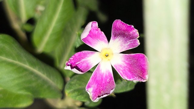 20250706_021741.jpg