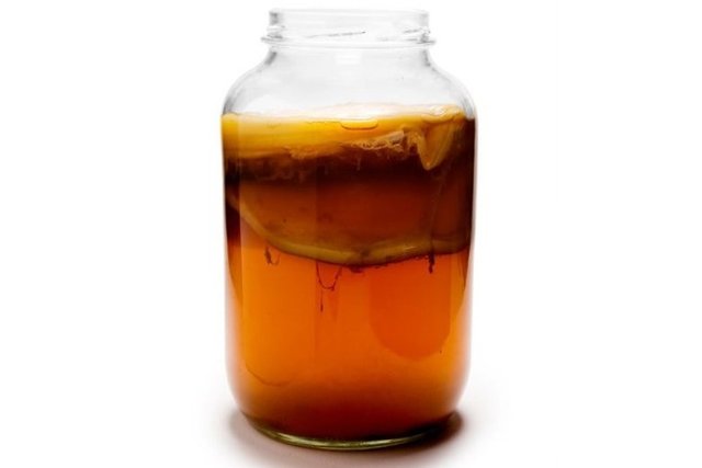 kombucha1 (1).jpg