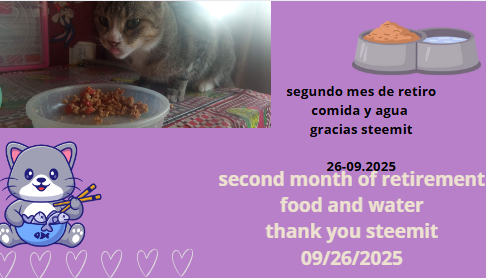 video55.PNG