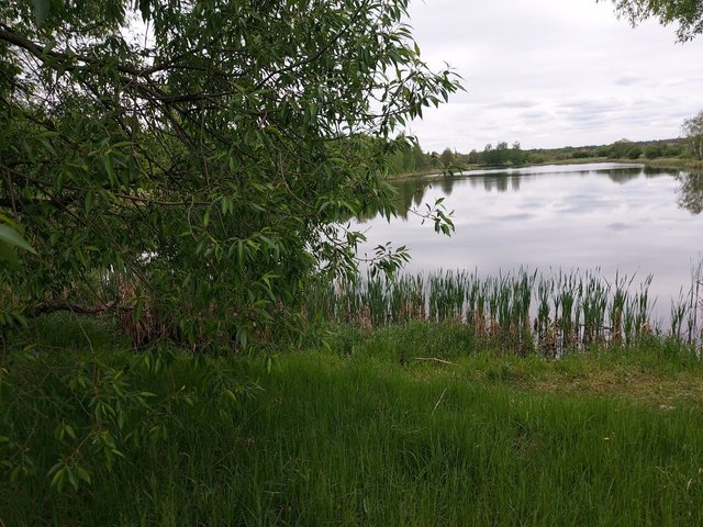 IMG_0122.jpeg