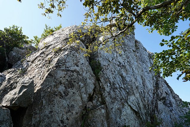 b-DSC08376.JPG