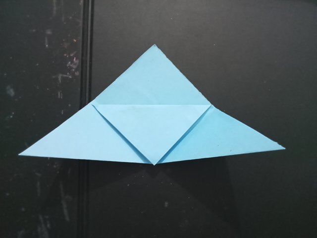 1000027174.jpg