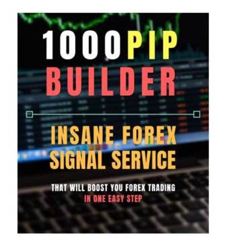 1000pip-Builder-Review2.jpg