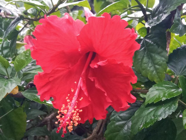 IMG_20250907_191850.jpg