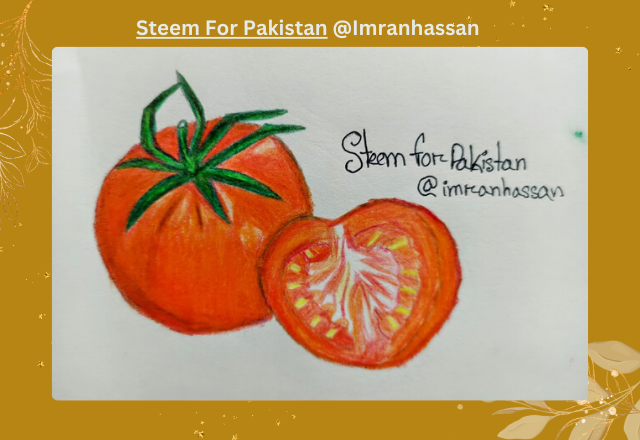 Steem For Pakistan @Imranhassan (1).png