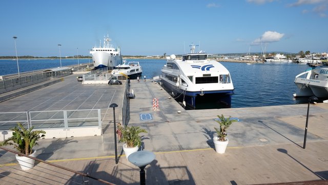 Seguridad Savina 0159.JPG