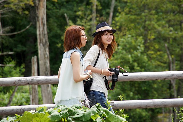 Japan-Hokkaido12802-360.jpg