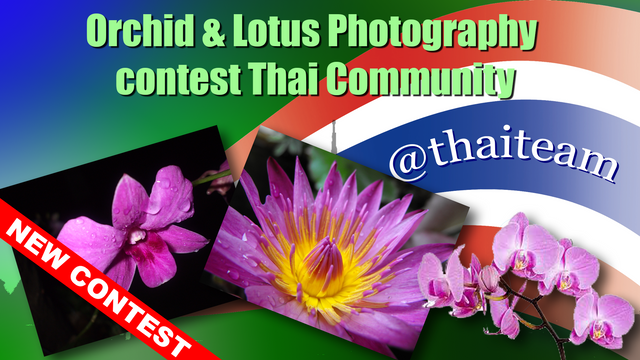 orchid Photography contest.png