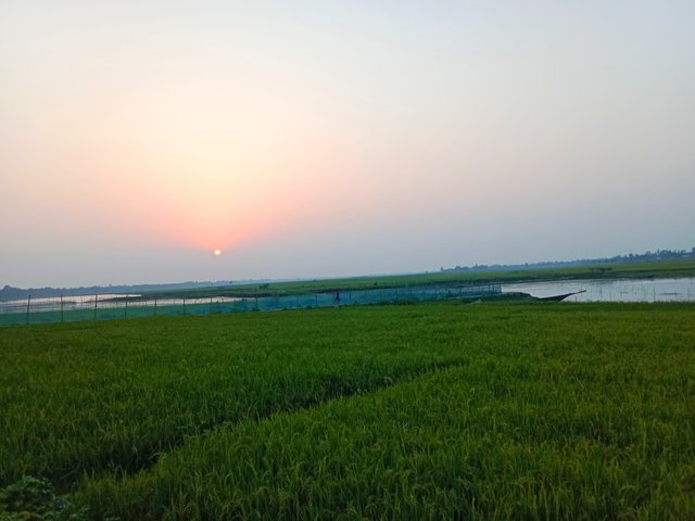IMG_20250429_204148.jpg
