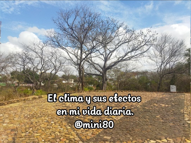 imagen.png