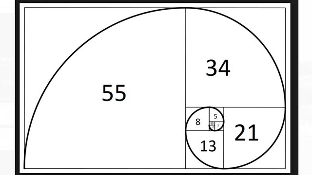 secuencia-de-fibonacci-2.jpg
