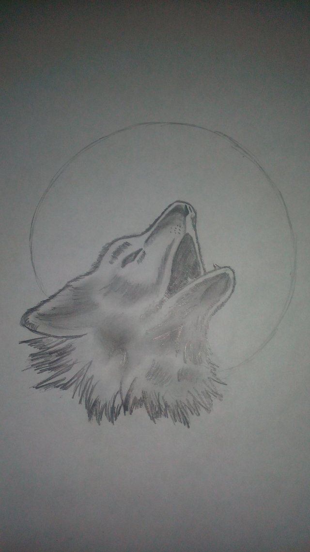 Un lápiz, una hoja y mucha imaginación. Lobo aullando a la luna (Dibujo  paso a paso). — Steemit