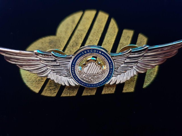 Skyfleet_badge_1296x.jpg