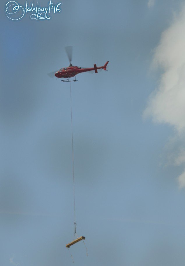 chopper_lift_columbia_icefields (2).jpg