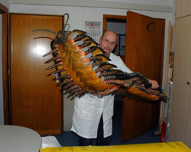 Arthropleura.jpg