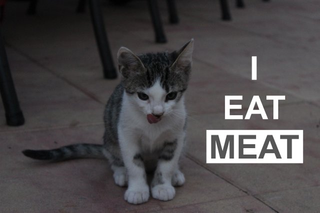 I_eat_meat copy2.jpg
