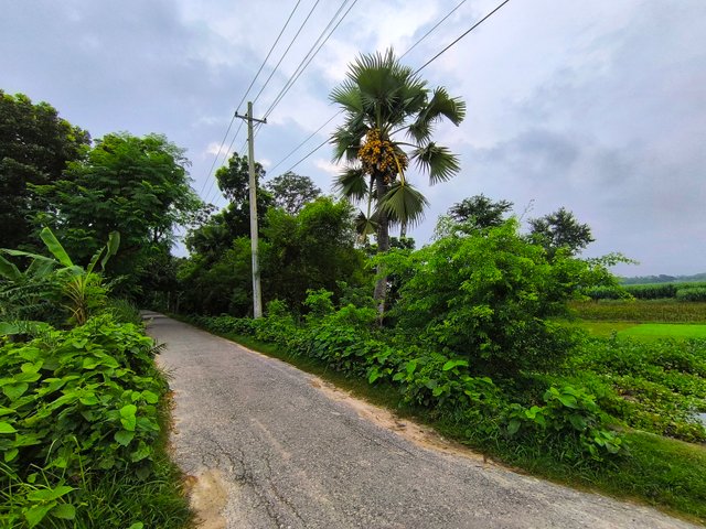 IMG_20250706_063703.