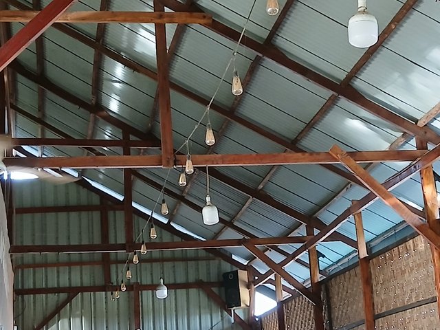 20250512_074121.jpg