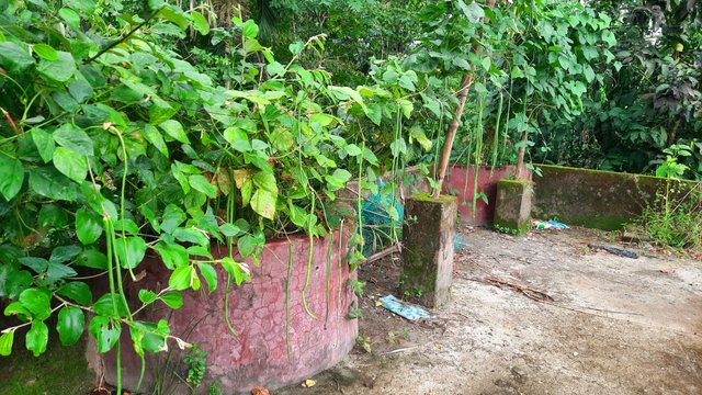 20250703_175512.jpg