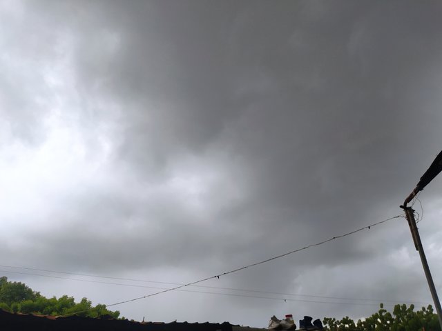IMG_20250813_160259.jpg