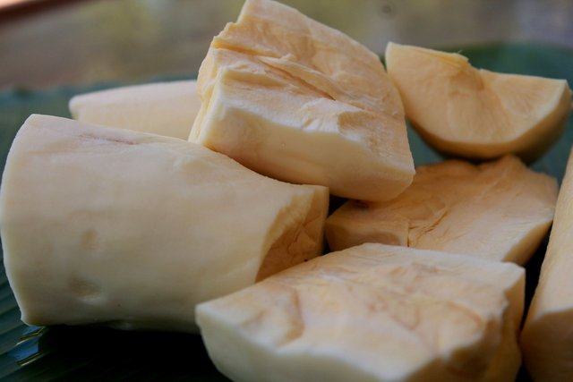 cassava-5578528_1280.jpg