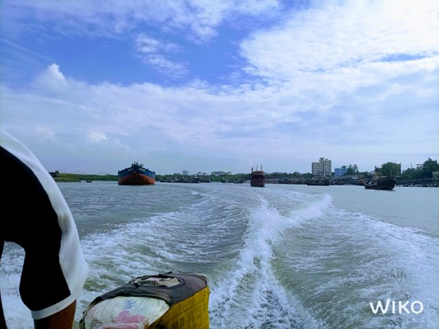 IMG_20241129_133939094_1.jpg