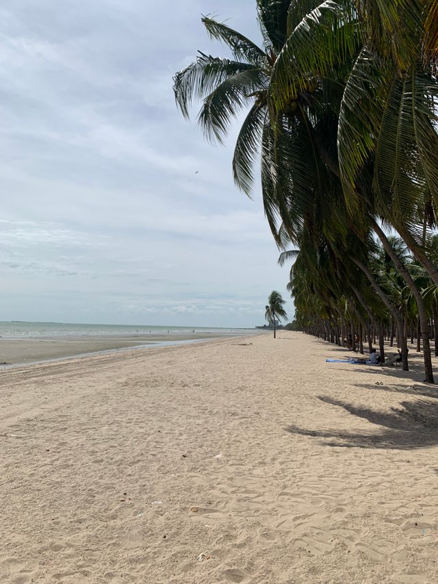 Bang Saen Beach3.jpg