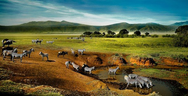 Best Tourist Activities in Ngorongoro Safari Park During Tanzania Tours.jpg