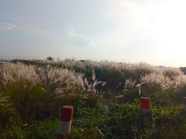 IMG_20250927_162840.jpg