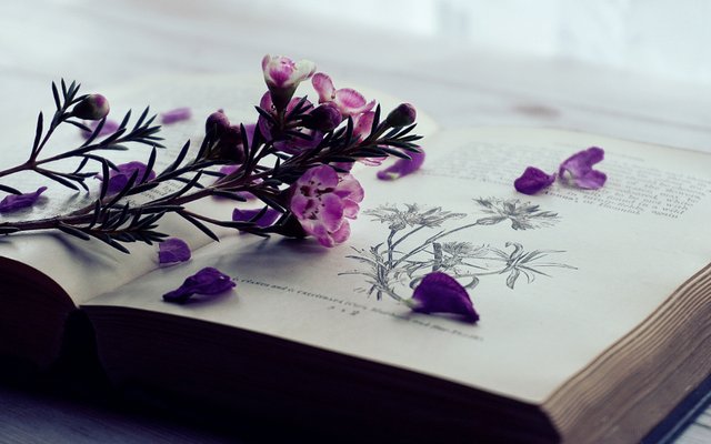 flowers-books_XKWL7SKFOZ.jpg