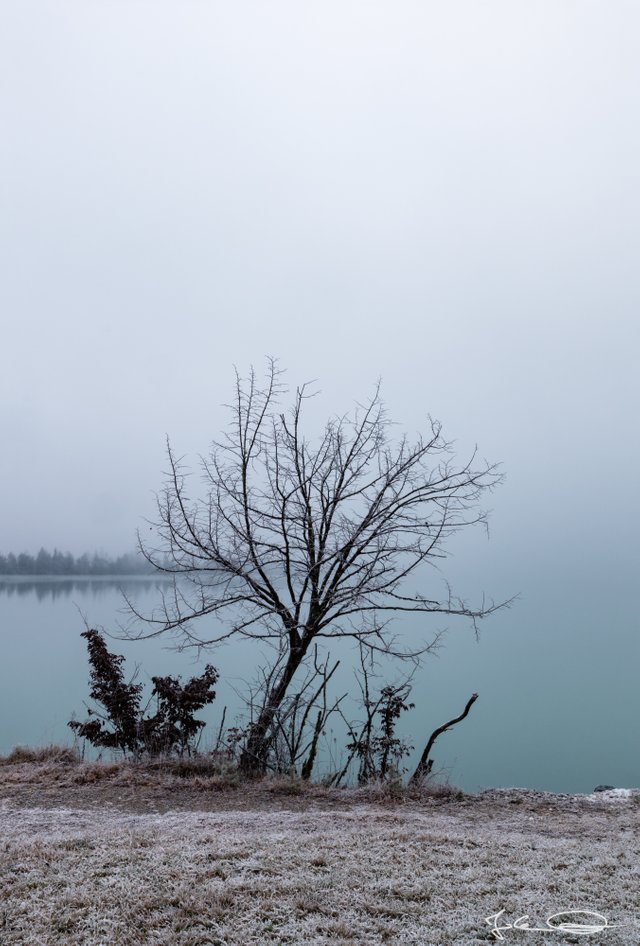 2018-12-23-Drau-misty-River-04.jpg