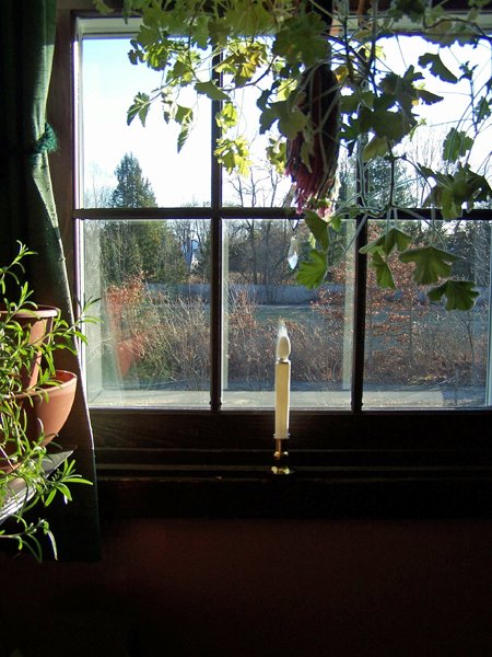 Candle in window crop November 2019.jpg