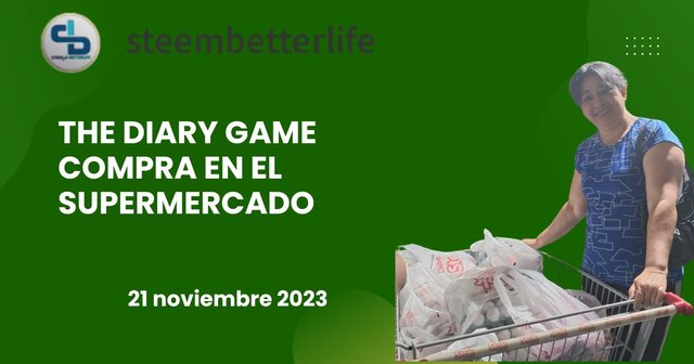 The Diary Games - 21 noviembre 2023 Lavadora dañada y haciendo mercado. (2).jpg