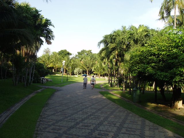 stroll in Queen Sirikit Park