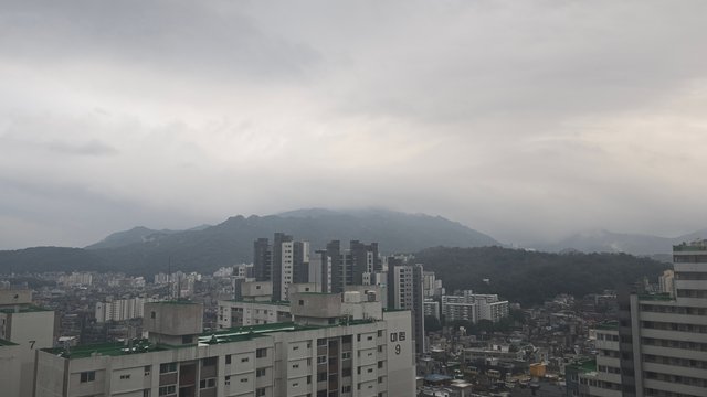 1000142061.jpg