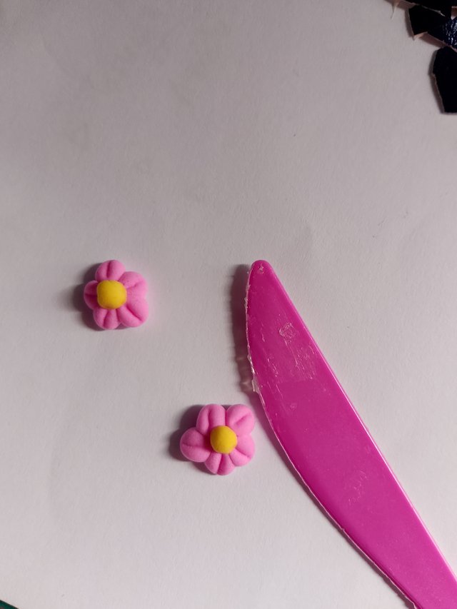 1000051067.jpg