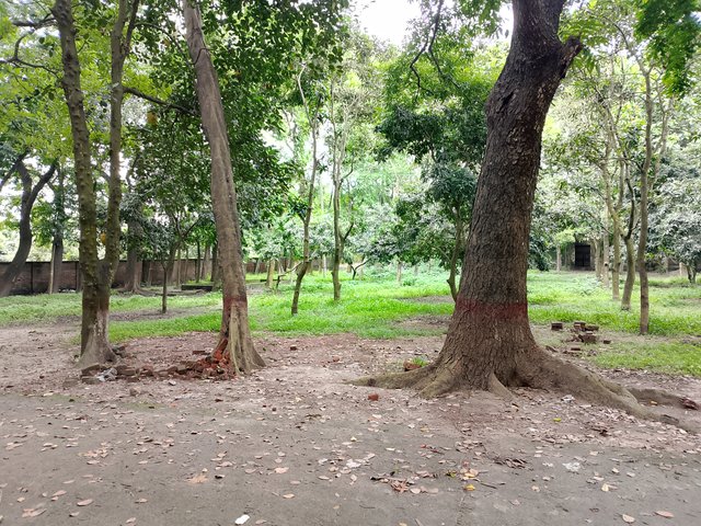 1000042149.jpg