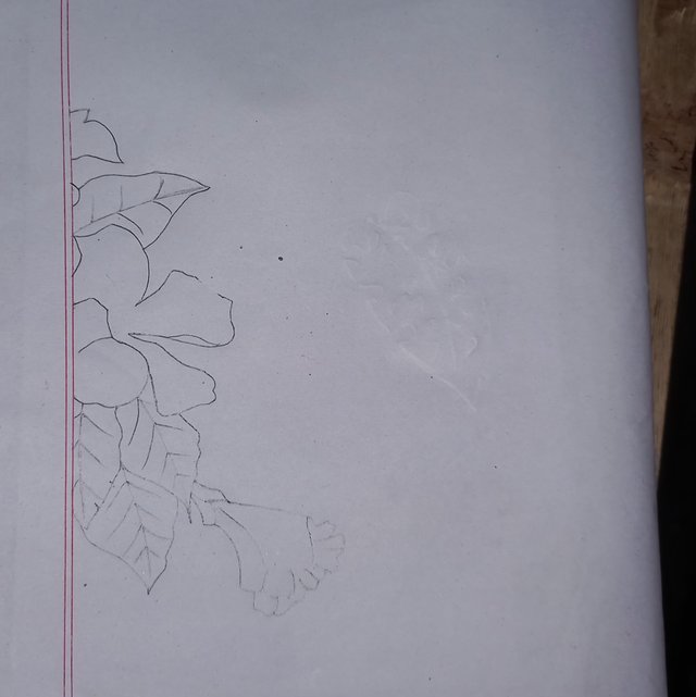 20251006_213545.jpg