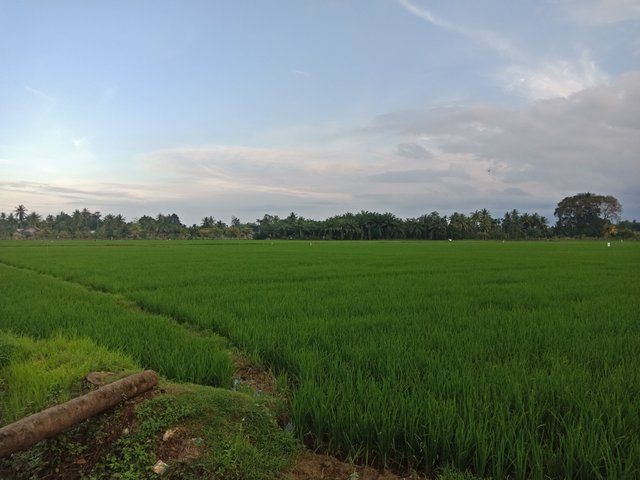 IMG20221222173502.jpg