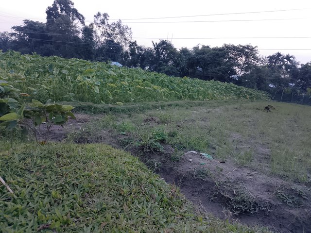 1000045598.jpg