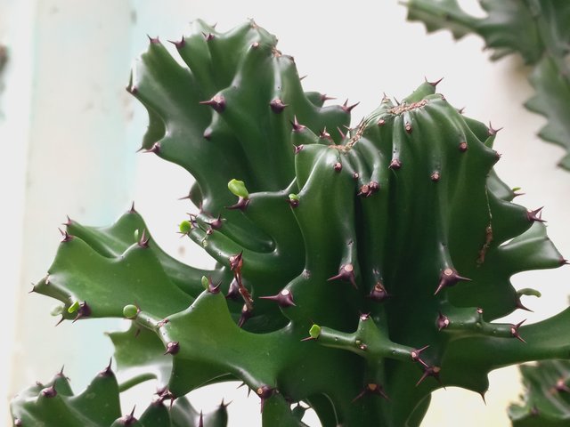 20250705_132927.jpg