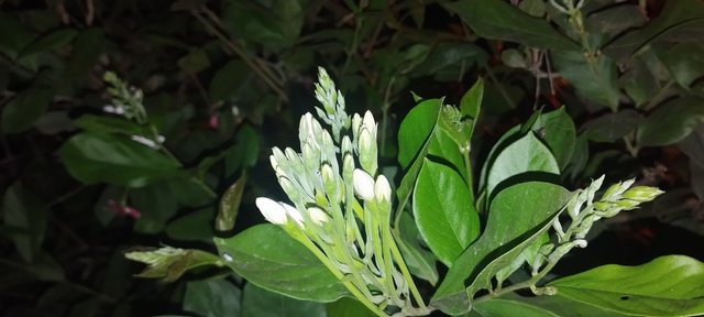 IMG_20250413_192809.jpg