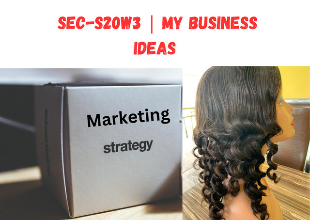 SEC-S20W3  My Business Ideas.png